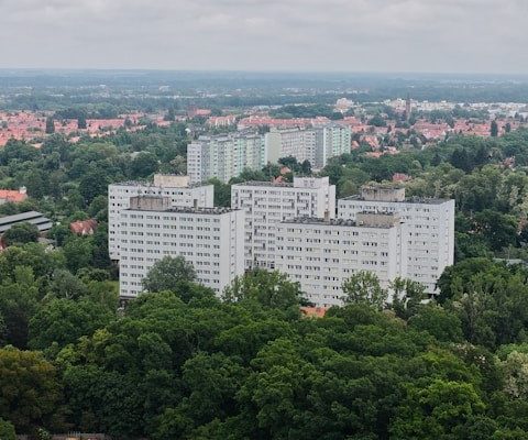 jak odwołać darowiznę